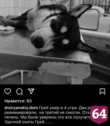 В Саратове собаку расстреляли на глазах у детей 