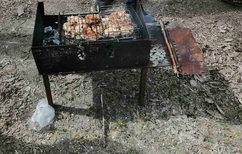 Под Саратовом на лесной поляне задержали даму с мангалом