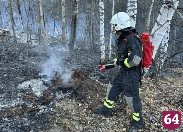 У села Лох стабилизировали лесопожарную обстановку 