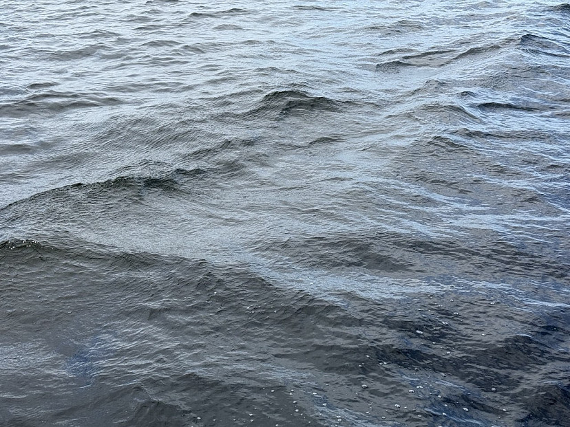 В Саратовской области из водоема у шоссе выловили труп неизвестного