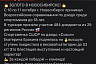Саратовская дзюдоистка завоевала золото на всероссийских соревнованиях