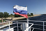 Пруд-охладитель Балаковской АЭС облюбовали бакланы и бобры