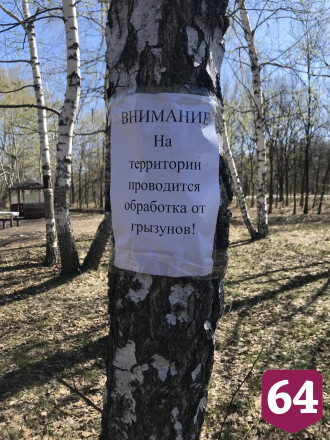 Любителям отдыхать на Кумысной поляне посоветовали чаще мыть руки 