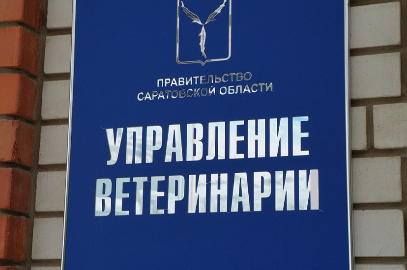 С бешенством животных борются в трех районах Саратовской области 