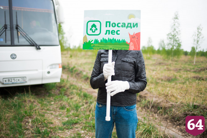 Саратовцы могут подарить учителям на День знаний вместо букетов деревья  