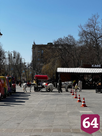 Саратовцы пожалели катающих детей пони