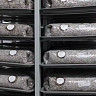 Саратовское предприятие производит до 300 тонн зернового мицелия в месяц