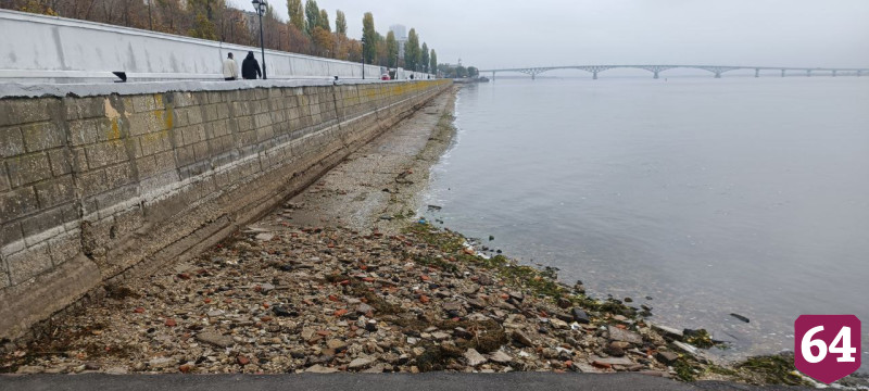 В Саратове волонтеры убирают от мусора обмелевший берег Волги