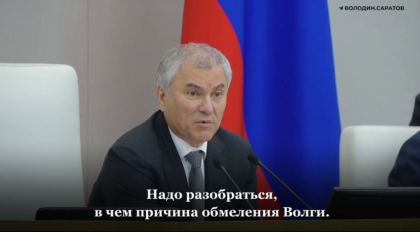 Володин потребовал найти причину обмеления Волги