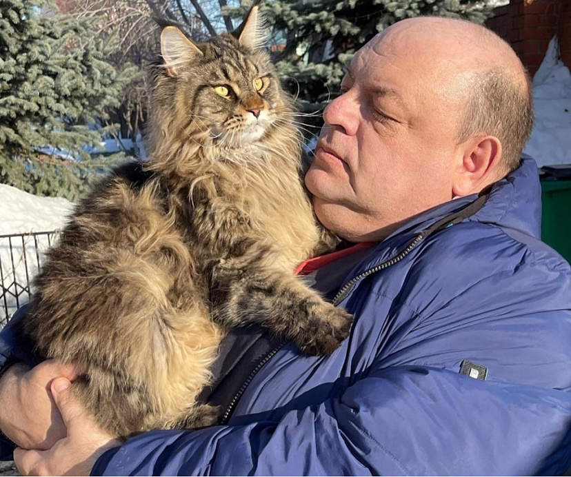 Саратовский министр ищет загулявшего кота