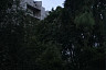 В Саратове упала со 2-го этажа заброшенного дома и разбилась 11-летняя девочка