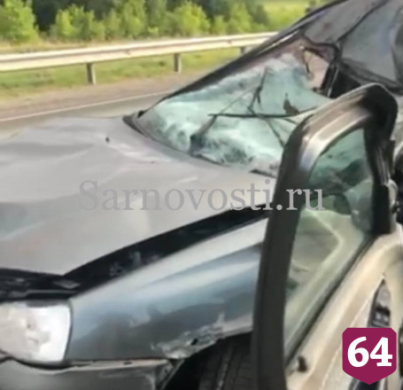 Водитель сбил лося под Саратовом и погиб