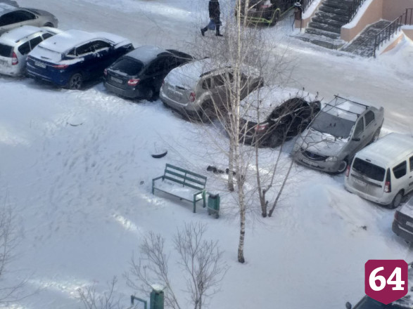 В Саратове развернули операцию по спасению уток