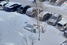 В Саратове развернули операцию по спасению уток