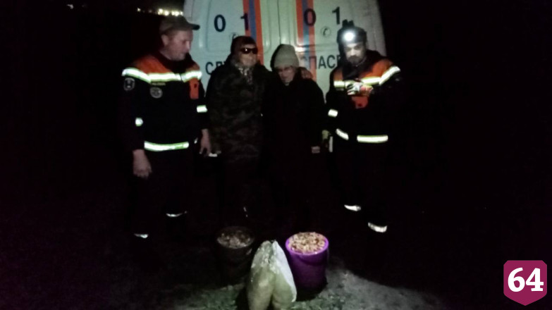 Женщины пошли за грибами и потерялись в лесу под Саратовом