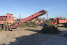 Под Саратовом переработали 2 тысячи тонн новогодних елок