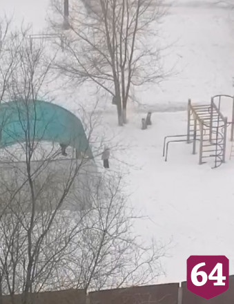 В Саратове женщина волоком по земле тащила ребенка в детсад