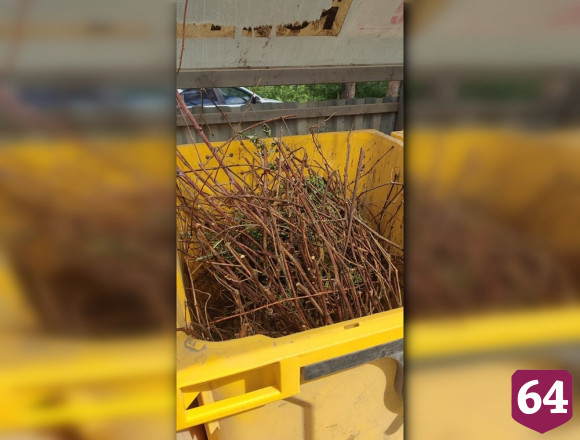 В Саратове за весну вывезено рекордное количество растительных отходов