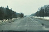 На трассе под Саратовом заметили лося-нарушителя