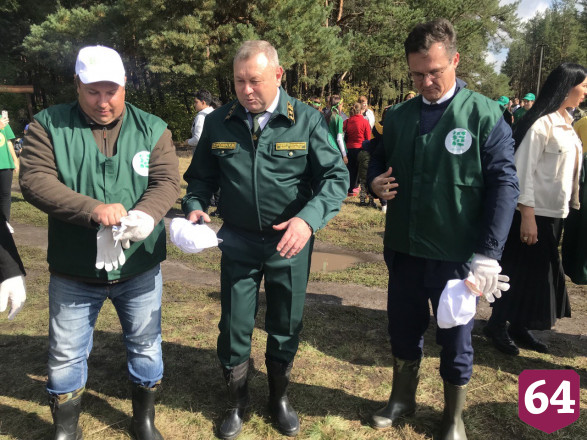 Под Саратовом высадили 2000 сеянцев сосны
