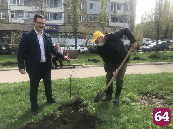 Саратовцы просят чиновников сберечь «Сад памяти» 