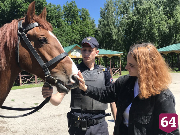 Беседки на Кумысной поляне охраняют полицейские кони 