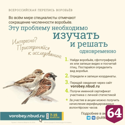 Саратовцы посчитают воробьев в рамках всероссийской переписи