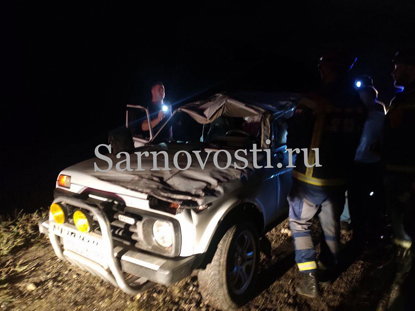 Под Саратовом внедорожник сбил кабана и вылетел в кювет