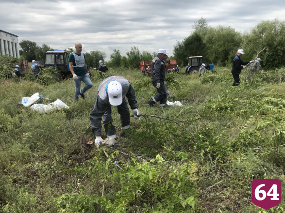 Министр для повышения эффективности переобулся и ушел в камыши