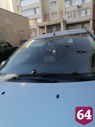 В Саратове припаркованную у подъезда машину закидали селедкой