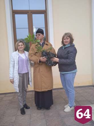 Священник создал у храма лесопитомник и раздает по Заволжью дубы