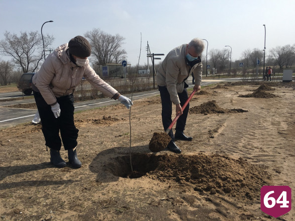 В Парке покорителей космоса заложили дубовую рощу 