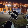 Саратовцы увидят большой парад планет и метеорный поток Персеиды