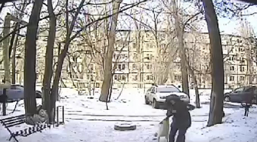 Нападение собак на женщину в Саратове попало на камеру