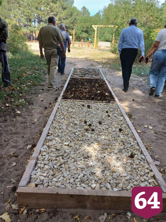 Дуб-великан Дьяковского леса исполнил желание саратовского министра