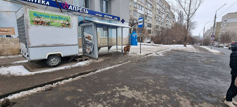 Автохамов оштрафовали за стихийную парковку у больницы Саратова