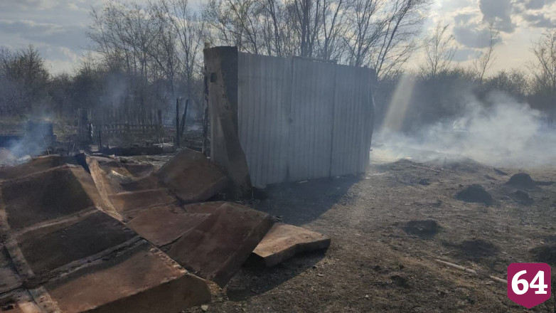 Под Саратовом от полыхающего камыша сгорели 8 строений