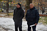 В Детском парке Саратова спилят 20 ветхих деревьев
