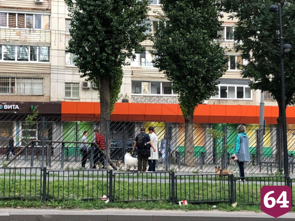 Жители Саратова проводят вечер на прогулках без масок