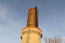 Спасатели сняли служебного сокола с башни в Саратове