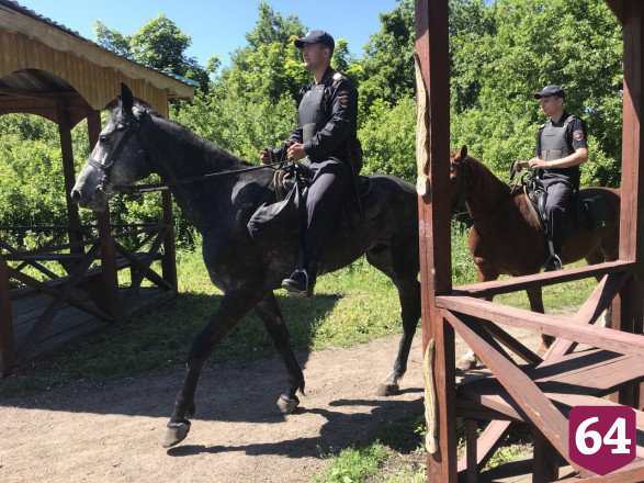 Беседки на Кумысной поляне охраняют полицейские кони 