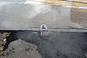 Горожанам предложили переходить новую дорогу «вприпрыжку с матерком»