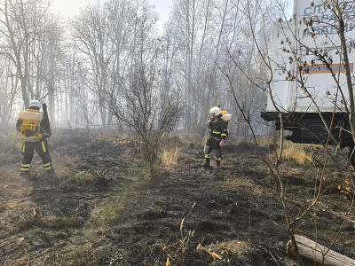 Ликвидирован лесной пожар около саратовского села Лох