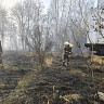 Ликвидирован лесной пожар около саратовского села Лох
