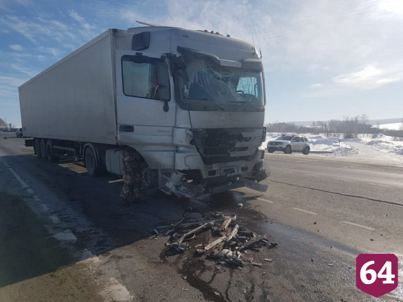 На трассе под Саратовом автовоз задавил косулю