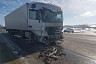 На трассе под Саратовом автовоз задавил косулю