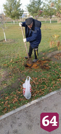 Священник создал у храма лесопитомник и раздает по Заволжью дубы