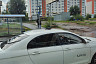 В Саратове голубь «катался» на такси