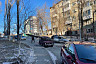 В Саратове дерево рухнуло на припаркованный внедорожник