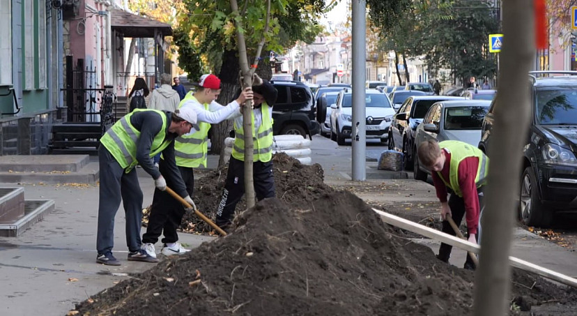 В Саратове впервые высаживают крупномеры 